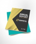 Annual Report - Information presented Professionally